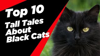 Top 10 Tall Tales About Black Cats