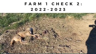 Farm 1 Check Day 2- 2022 2023