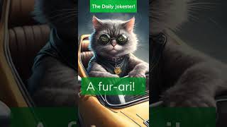 Life in the Fur Lane: The #feline - Fueled #adventures of a Driving Cat #shorts