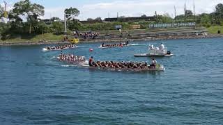 Montreal Dragon Boat Challenge 2017: Race 92 - 2000m Sport Open Final A - Turn 2