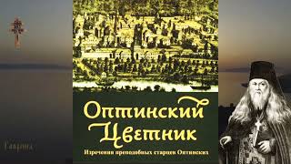 8. Оптинский цветник. Преподобный Лев. Борьба со страстями