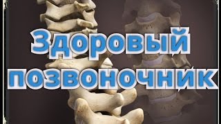 Йога точного выравнивания | Работа с планкой