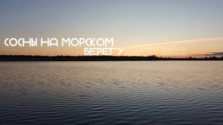 ГРУППА КИНО "СОСНЫ НА МОРСКОМ БЕРЕГУ" КАВЕР КЛИП