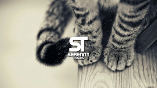 Now Head Scratches by Dexin Paris & Alrota | Cat Remix | Glitch Hop Music