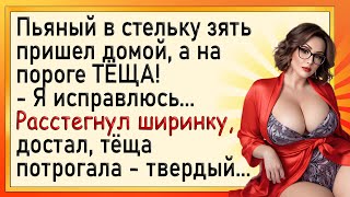 Как зять перед тёщей извинялся! Сборник свежих анекдотов! Юмор!