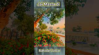 Nakodar Darbar |Sai laddi Shah| baba Murad Shah|#nakodardarbar #laddishah #jaimastadi #ytshorts #786