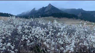 Fog on Flatirons #flatirons #chautauqua #Boulder