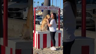 I let STRANGERS kiss my dog for $1 #goldenretriever #dogs #cute