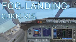 FSX Landing Blind in the Fog | Manual Landing | 0.1KM Visibility