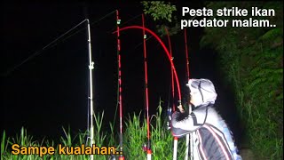 Mancing ikan di malam hari sampe pesta strike ikan lele dumbo..