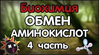 Биохимия. Лекция 42. Обмен аминокислот. 4 часть. Обмен отдельных аминокислот