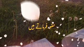 huzoor farmate hai jo mil gaya so mil gaya 🥀 | islamic sad lines status | beautiful WhatsApp status