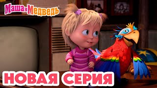 Маша и Медведь 💥 НОВАЯ СЕРИЯ! 💥 Это не Рио-де-Жанейро! 🤨🦜 Коллекция мультиков про Машу