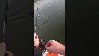 Epic Red Fish Encounter in Anclote River Florida