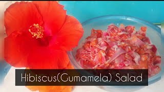 Hibiscus (gumamela) salad