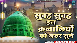 सुबह सुबह इन क़व्वालियों को जरुर सुने | Madina Sharif Qawwaliyan | Beautiful Kalam | 2023 Qawwali