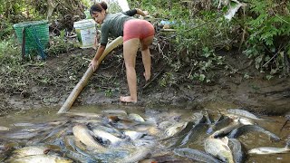 Amazing Fishing - Girl uses a motor to release water - Harvesting many big fish in the lake