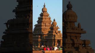 Old Temple Hagar Qim #viralshorts2023 #travel #mostvisited #youtubeshorts #history #fact #world