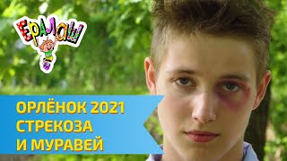 Остров детства Ералаш | ВДЦ Орлёнок 2021 | Стрекоза и муравей