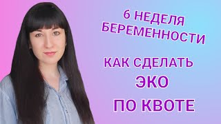 6 НЕДЕЛЯ БЕРЕМЕННОСТИ ДВОЙНЕЙ / КАК СДЕЛАТЬ ЭКО ПО КВОТЕ ПОДРОБНО