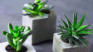 DIY CEMENT FLOWER POT