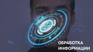 Информатика 10 класс. Обработка информации (УМК БОСОВА Л.Л., БОСОВА А.Ю.)