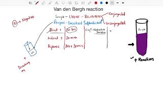 Van den Bergh reaction | Biochemistry | Types of Jaundice | Medcampus