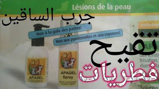 جرب الساقين المنقار  وتقيح الجلد والطفيلياتLagale des pattes pyodermites et mycoses