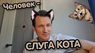 Человек слуга кота. Мясников.