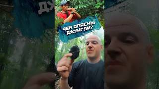 Что в джунглях лучше не трогать?