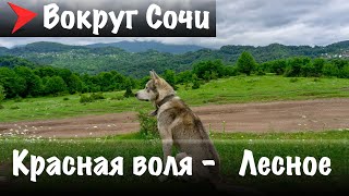 #9 Красная воля - Псахо - Лесное