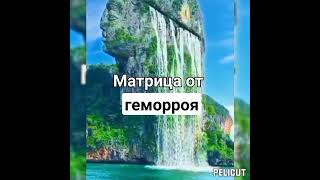 💥Матрица  от геморроя.