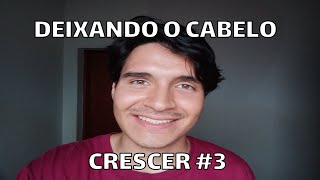 Deixando o cabelo crescer #3