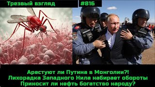 Разгон комариной напасти.   Арест Путина в Монголии?!