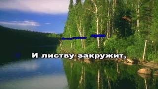 У БЕРЁЗ И СОСЕН KARAOKE ,