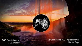 Marvin Gaye   Sexual Healing TGO Tropical Remix