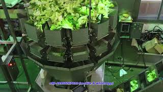 Automatic Vegetable Vacuum Packing Machine