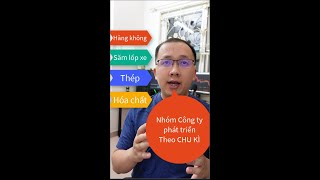 Những công ty phát triển theo chu kỳ (có thể dự đoán được)