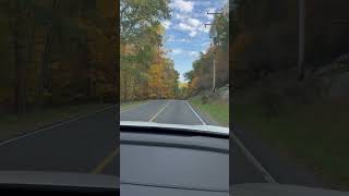 Fall Foliage in Pennsylvania #shorts #shortvideo #musicnotmine