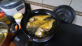 Fish Fry, Eggplant and Rice for Lunch