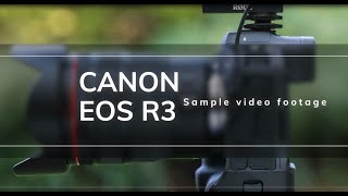 Canon EOS R3 test footage by Professional Photo