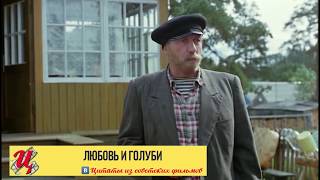 А вы чё подумали?