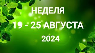 ТЕЛЕЦ ♉. ПЕРЕМЕНЫ. НЕДЕЛЯ 19-25 АВГУСТА 2024. Таро прогноз.