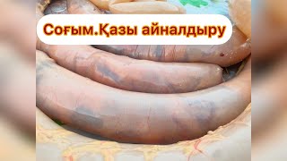 Соғым.Қазы айналдыру.Қазыны тез айналдыру. Шужук и казы: как готовить колбасу из конины по-казахски