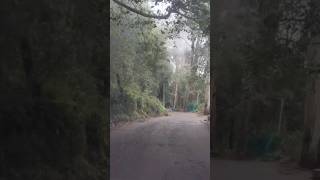 Kodaikanal WhatsApp status video in Tamil... #shorts #kodaikanal #music