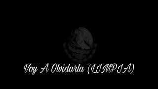 Voy a olvidarla - (Limpia)