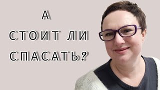 А СТОИТ ЛИ СПАСАТЬ?