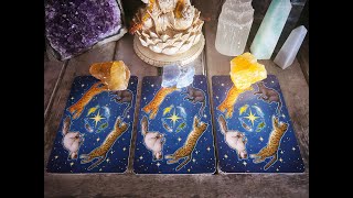 ☽Pick a Card - What do you need to hear right now?