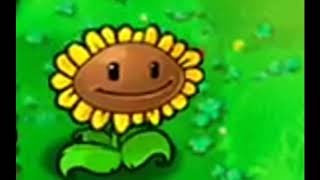 Подсолнух танцует 10 часов под песню "Plants vs Zombies ( main menu  theme ) "