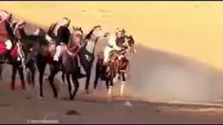 خيل عربيه اصيله تغار على صاحبها